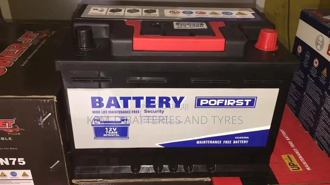 15 Plates Pofirst Batteries