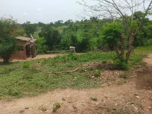 2.5 Acres of Land at Mpatasie Deikrom for Sale