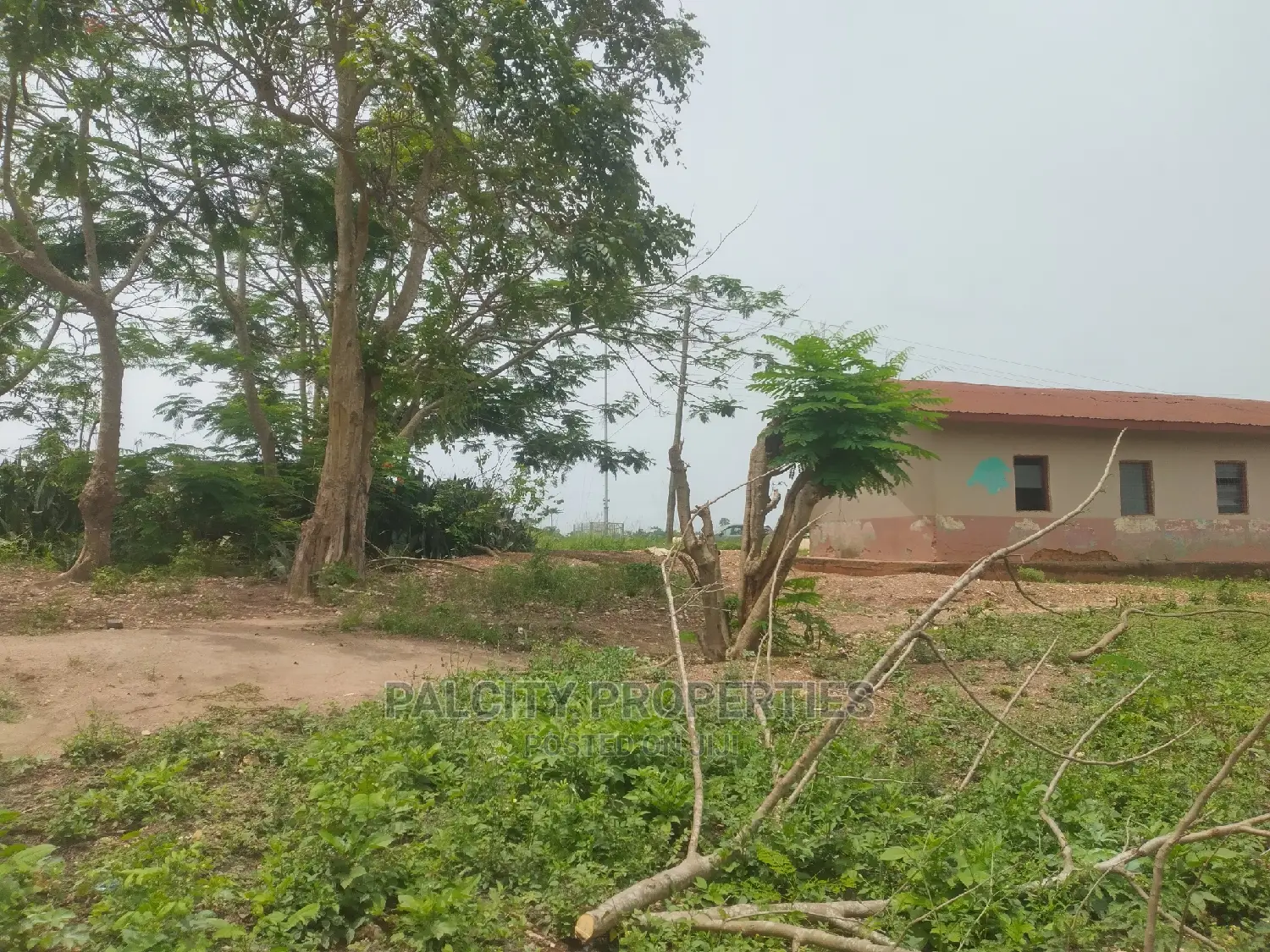 2.5 Acres of Land at Mpatasie Deikrom for Sale