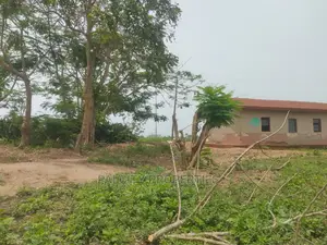 2.5 Acres of Land at Mpatasie Deikrom for Sale
