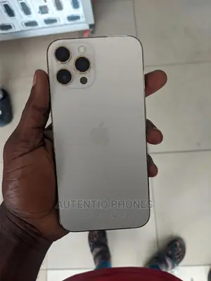 Apple iPhone 11 Pro Max 256 GB Silver