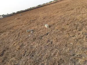 Invest in Land for Your Future