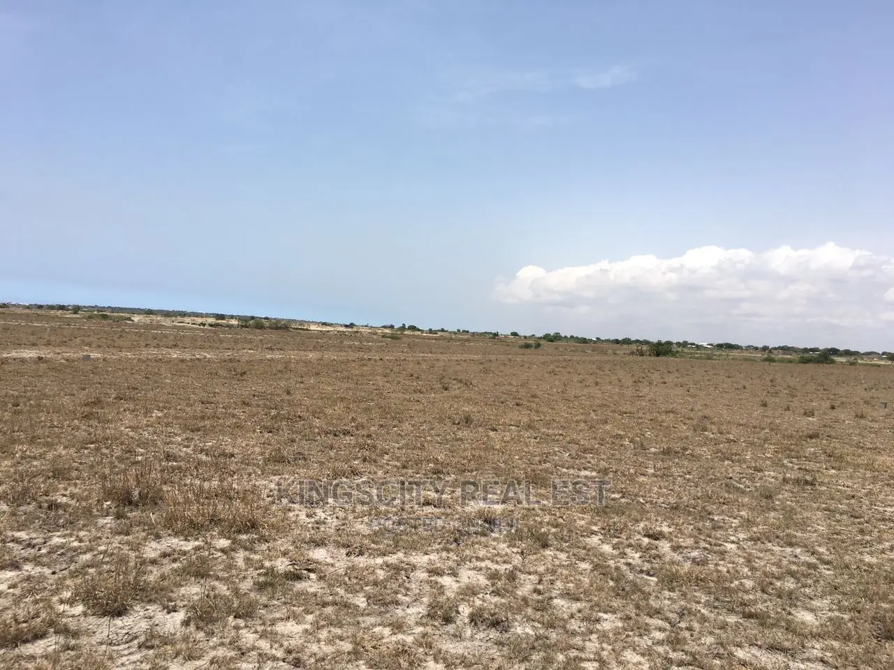 Invest in Land for Your Future