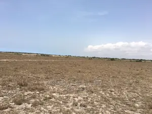 Invest in Land for Your Future