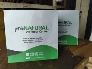 Paper Bag for Corporate Institutions