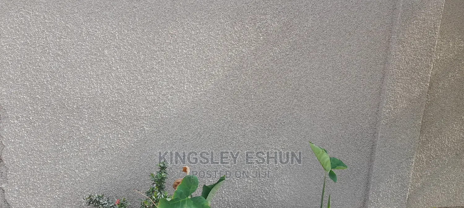 Tyrolean/Spraying Wall or House