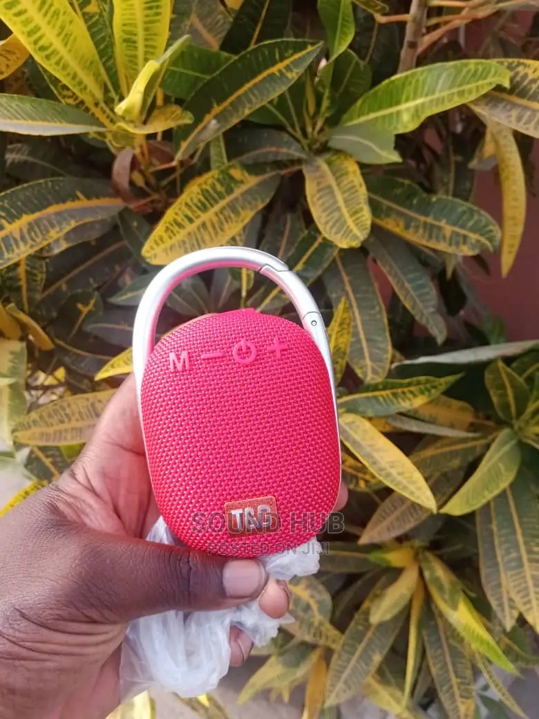 T G Portable IPX-5 Wireless Speaker
