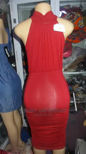 Beautiful Ladies Bodycon Dress
