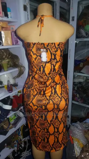 Beautiful Ladies Uk Dress in Bodycon Shape