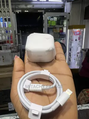 Original 3 Pin iPhone Charger
