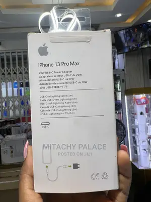 Original 3 Pin iPhone Charger
