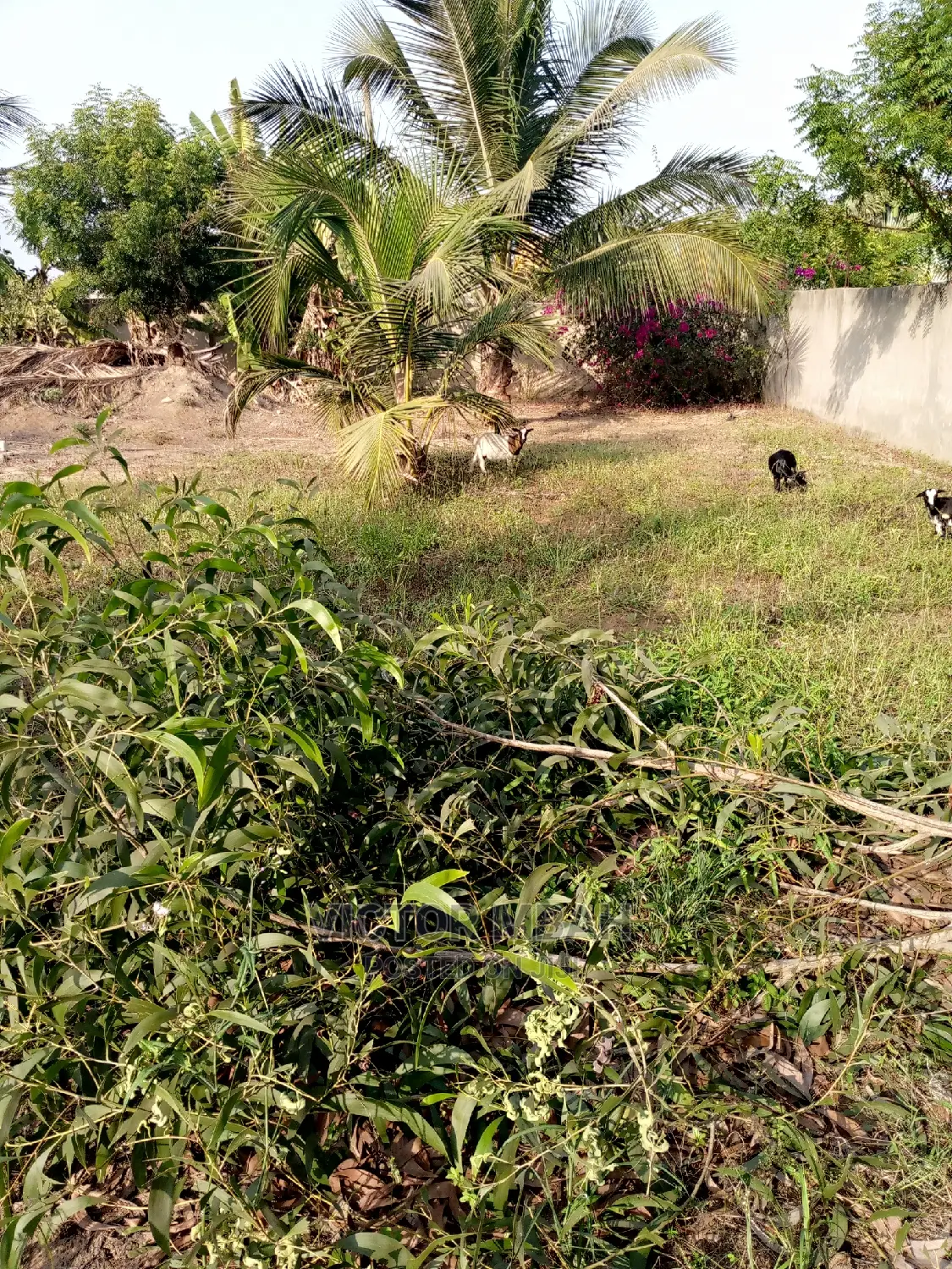 Mixed Beach  Land for Sell