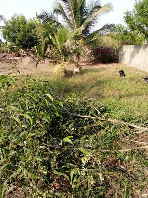 Mixed Beach  Land for Sell
