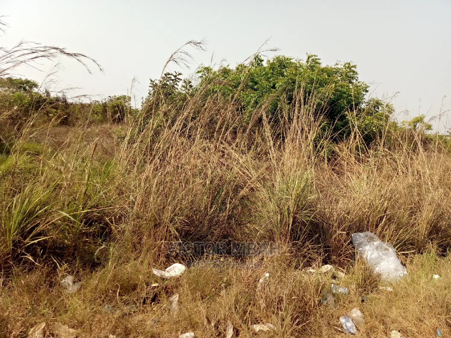 Mixed Beach  Land for Sell