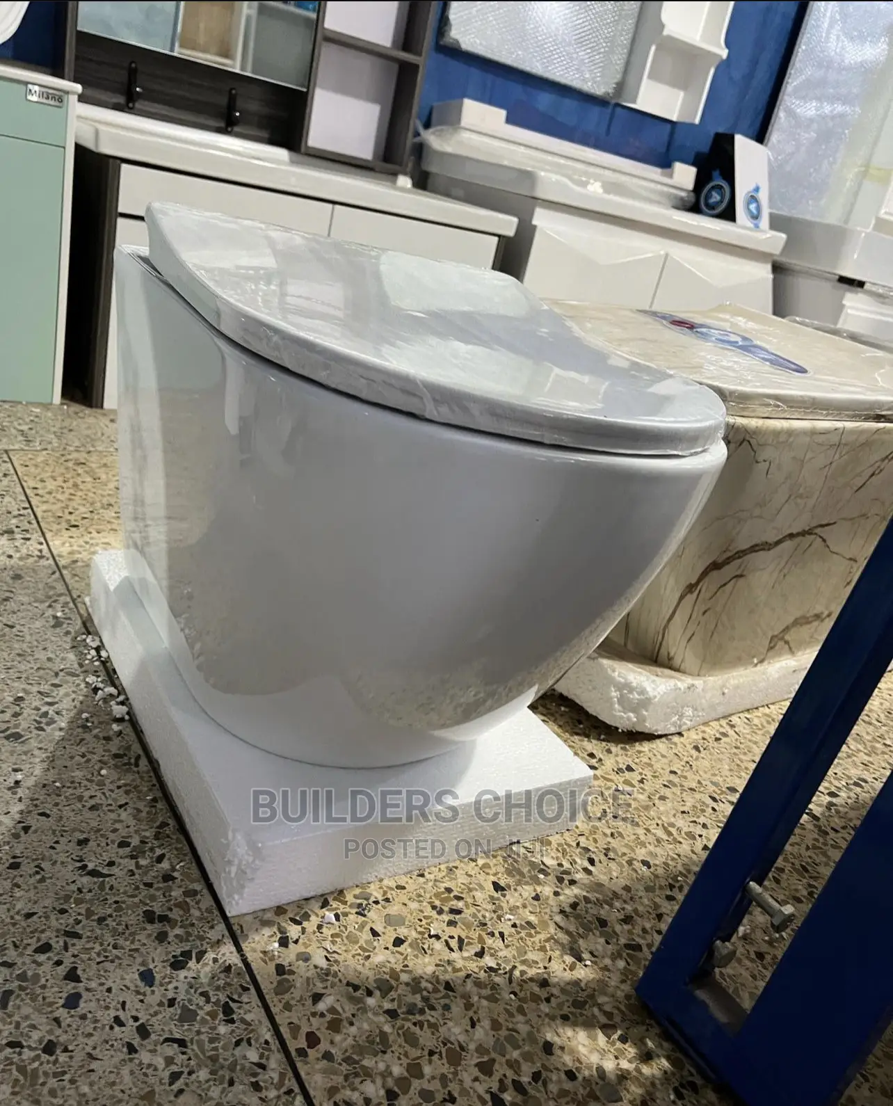 Concealed Water Closet_ With Its Cistern_hanging WC