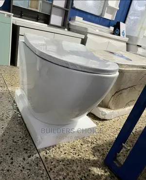 Concealed Water Closet_ With Its Cistern_hanging WC