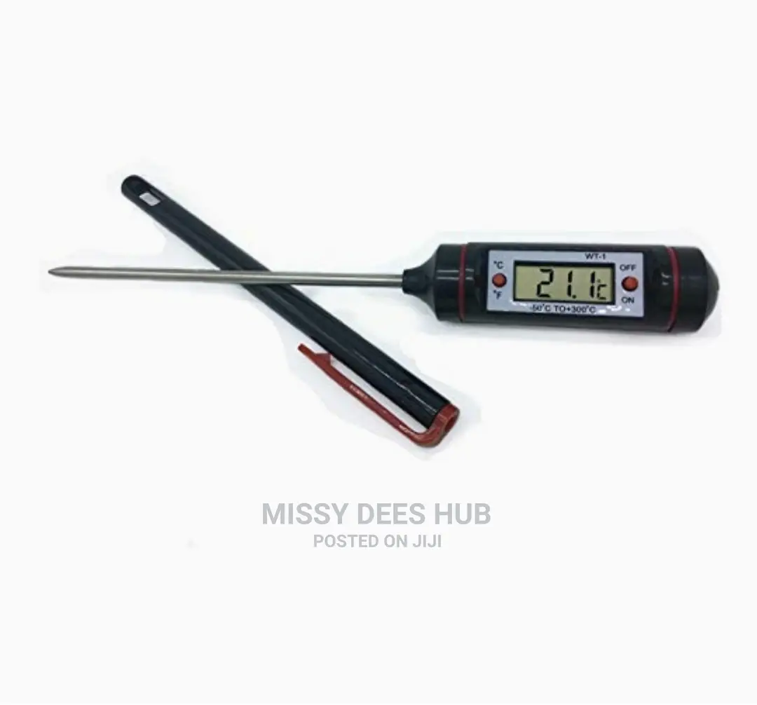 Digital Food Thermometer With Sheath