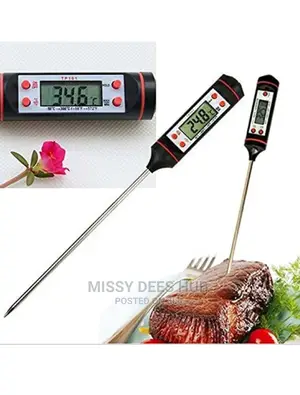 Digital Food Thermometer