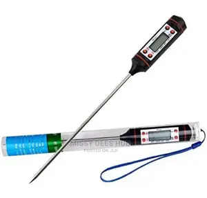 Digital Thermometer
