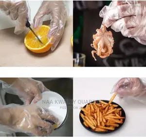 100pcs Food Handling Vinly Gloves
