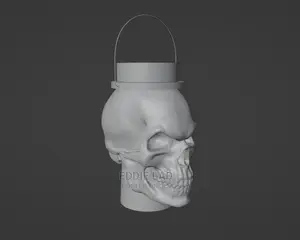 3d Modeler And Animator