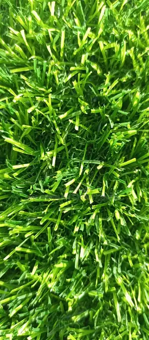 Artificial Grass Carpet