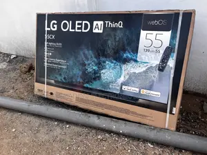 Crystal Clear LG OLED TV 55 Inch CX Series