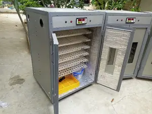 Mini Automatic Incubators