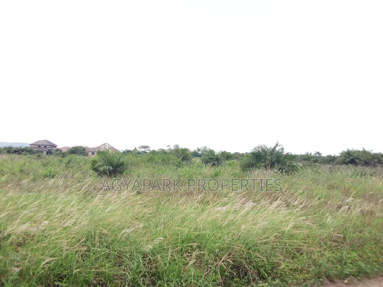 4 Archers of Title Land at Amasaman (Adjen Kotoku)