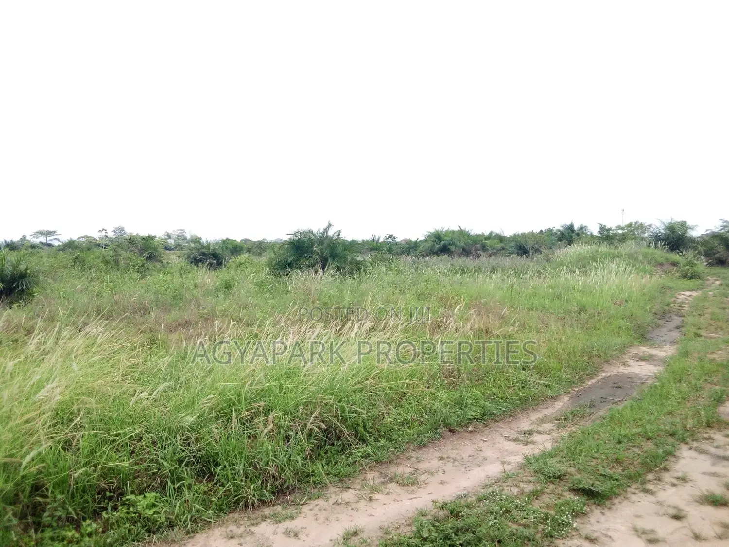 4 Archers of Title Land at Amasaman (Adjen Kotoku)