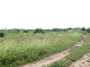 4 Archers of Title Land at Amasaman (Adjen Kotoku)