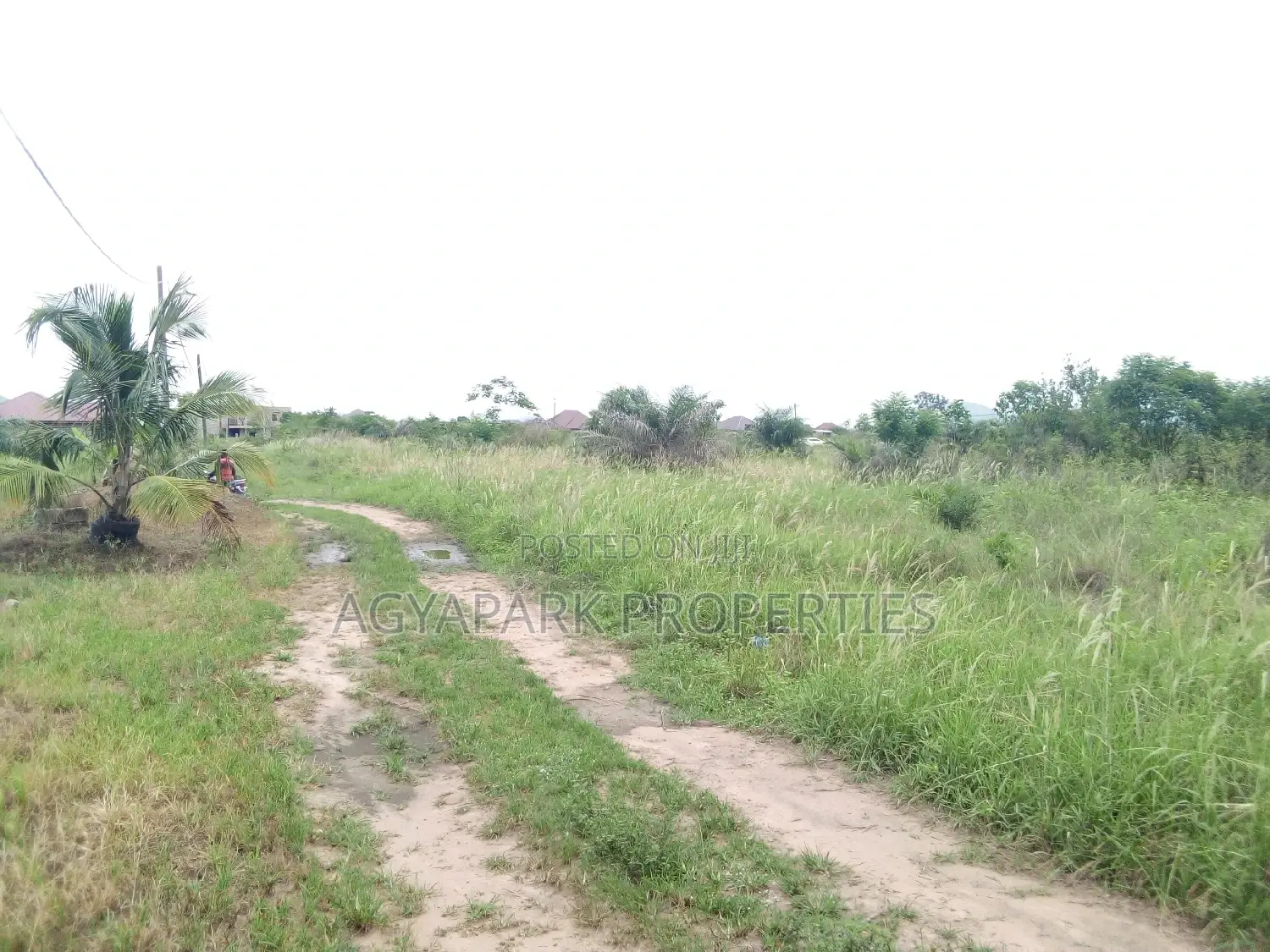 4 Archers of Title Land at Amasaman (Adjen Kotoku)