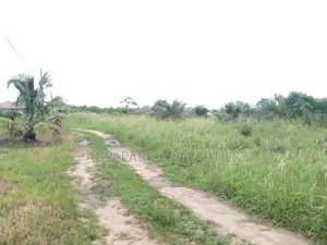 4 Archers of Title Land at Amasaman (Adjen Kotoku)