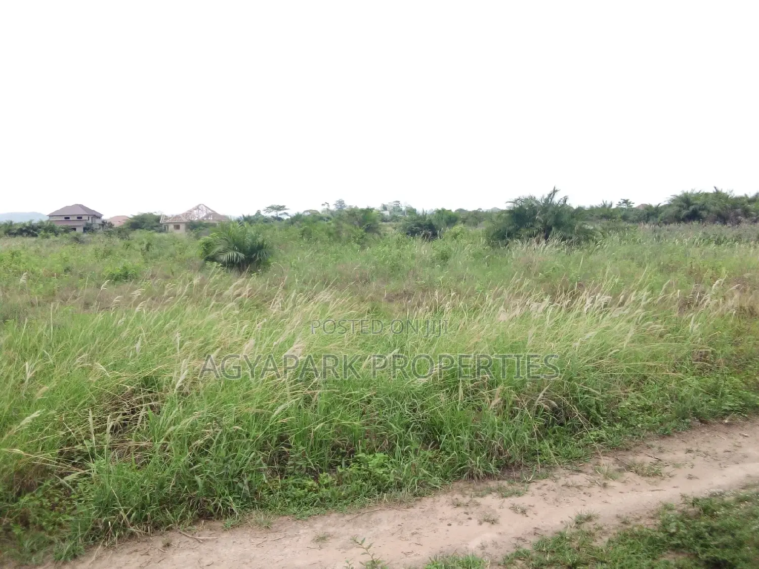 4 Archers of Title Land at Amasaman (Adjen Kotoku)