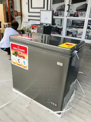 Most Affordable Zara Freezer.