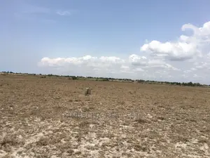 Well Measured Plots for Sale at Tsopoli