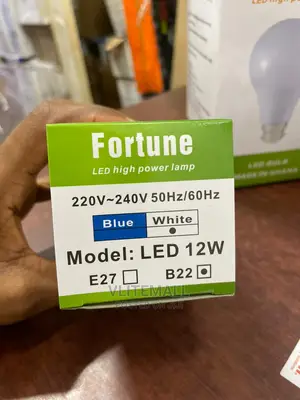 Fortune LED Onion Bulb