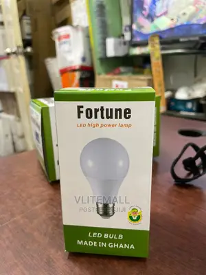 Fortune LED Onion Bulb