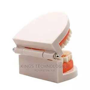 New Dental Model