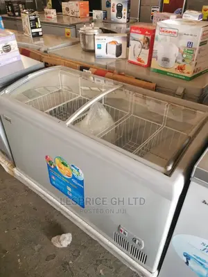 Delron Ice Cream Freezer 318L