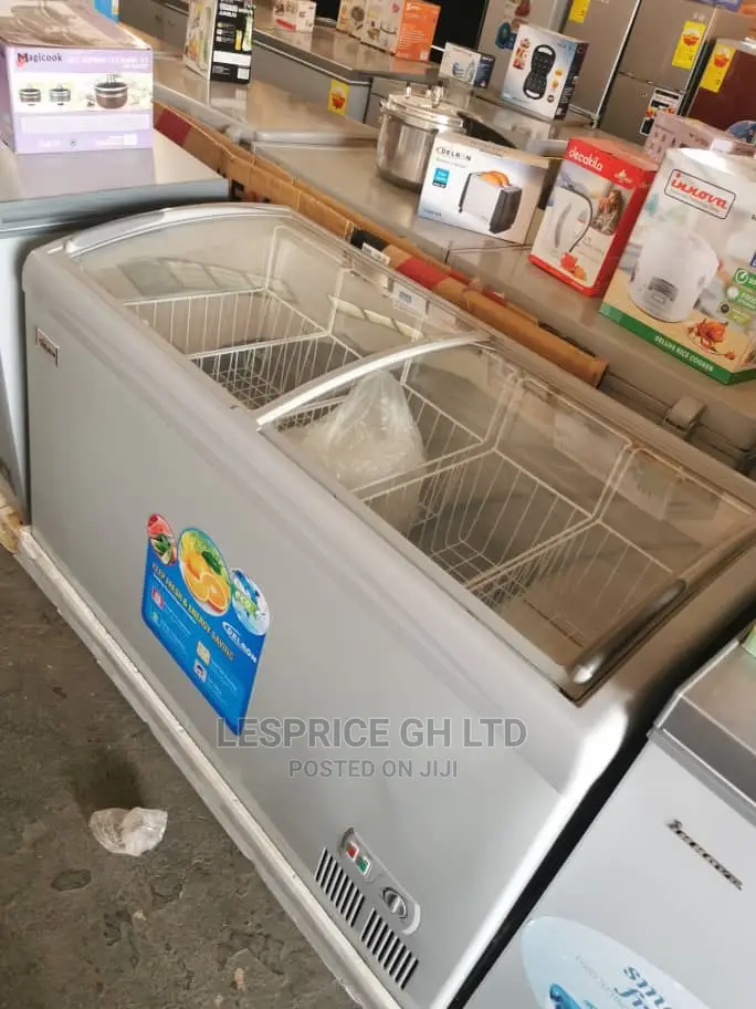 Elite Delron Ice Cream Freezer 318L