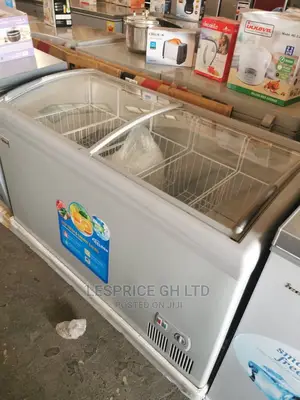 Powerful Delron Ice Cream Freezer 318L