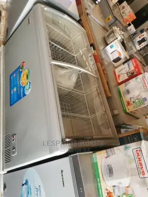 Fascinating Delron Ice Cream Freezer 318L