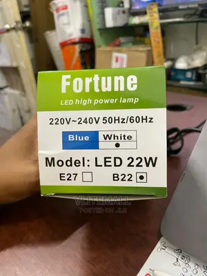 Fortune 22W LED Onion Bulb