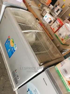 Exclusive Delron Ice Cream Freezer 318L