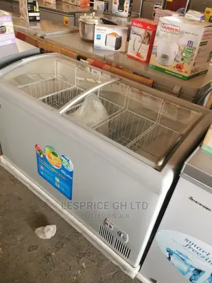 Awesome Delron Ice Cream Freezer 318L