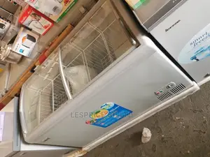 Designed Delron Ice Cream Freezer 318L
