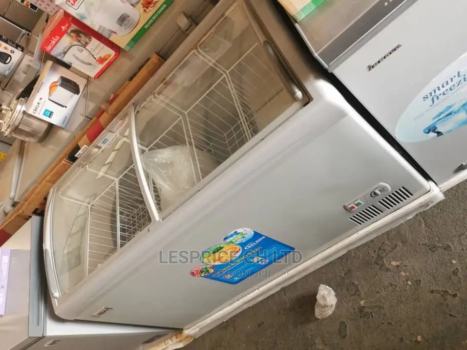 Designed Delron Ice Cream Freezer 318L