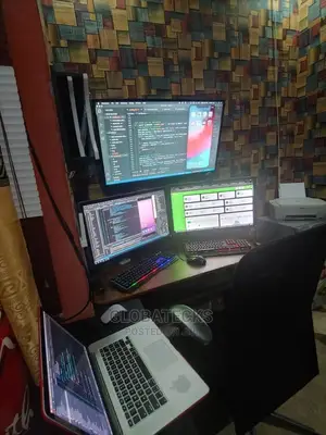 Full Stack Web,Mobile App Developer,Desktop and USSD Apps
