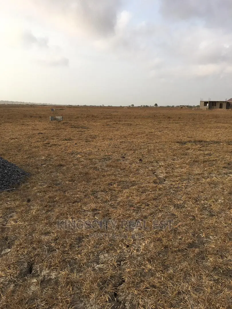 Invest in Land for a Scure Future